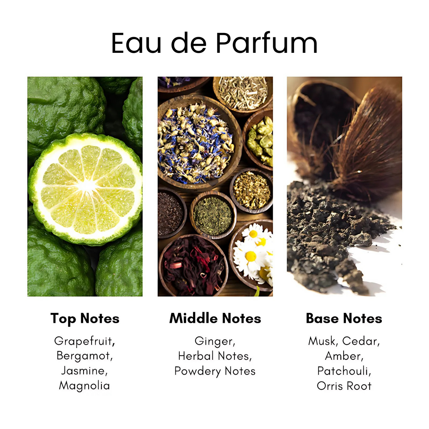 ScentHub Velvet - 100ml